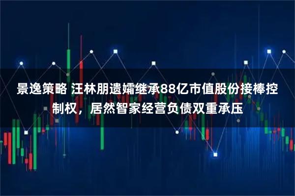 景逸策略 汪林朋遗孀继承88亿市值股份接棒控制权，居然智家经营负债双重承压